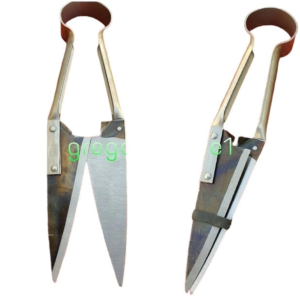 FORBICI TOSAPECORE CHIODATE DIRITTA