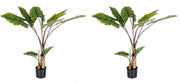 Set 2 Piante Artificiali Dieffenbachia Ø100x134 cm in Plastica con Vasi Verde