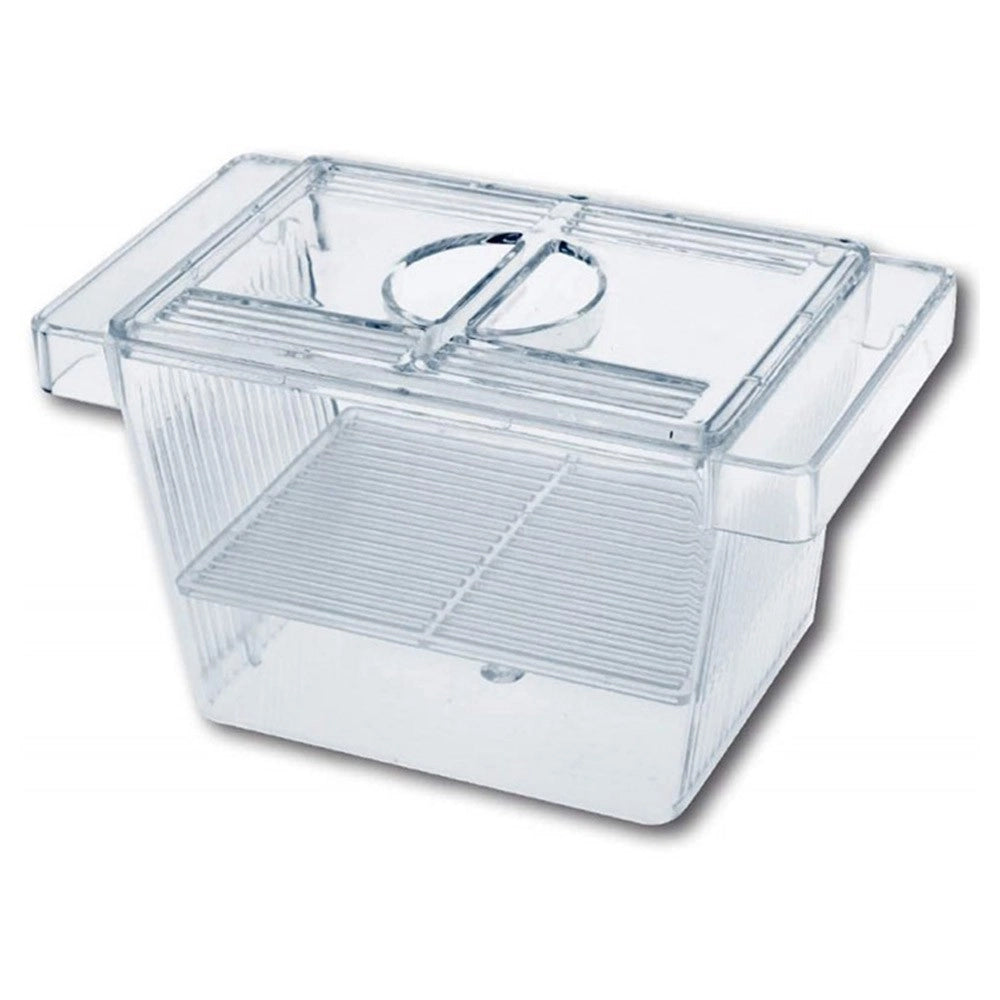 Wave Breeding Box Small Sala Parto