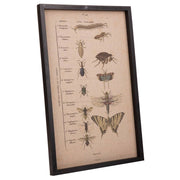 Quadro legno e stoffa 40x60x2,5h