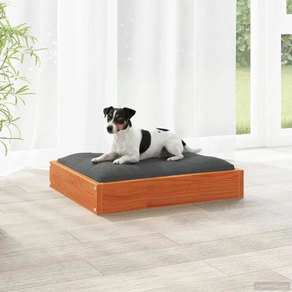 Letto per Cani Marrone cerato 51,5 x 44 x 9 cm CFW9584604