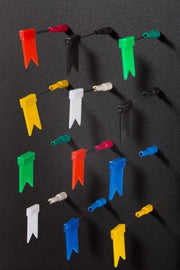 Magnetismo per presentazione/visualizzazione, colore, 6 pezzi con 6 bandierine