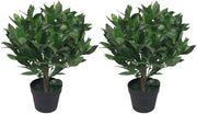 Foglie di Lauricello Artificiale, 50 cm, 2 pezzi