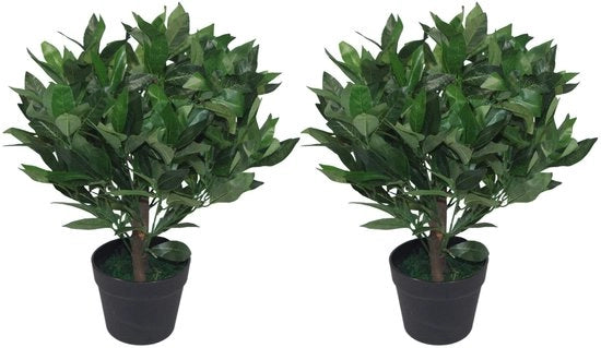 Foglie di Lauricello Artificiale, 50 cm, 2 pezzi