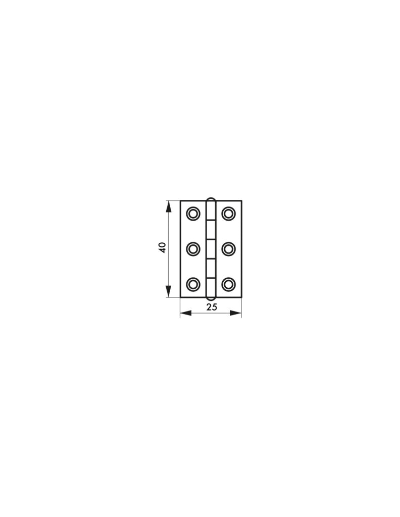 Cerniera per mobile o porta leggera 40 x 25 mm, acciaio – THIRARD