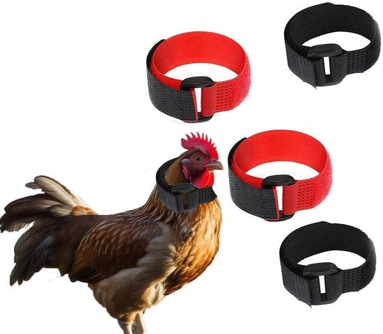 Cinturino per pollo adattabile - Anti-kraai - Nylon - Set da 4 - Riduce il rumore dei galli - Previene il pianto delle galline - Cinturino per pollo