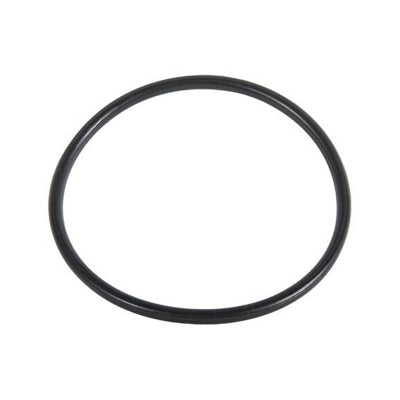 O.RING PER FILTRO 244-HYMFI- 48.90 x 2.62 - Tipo E- IRRIT- pezzi 1