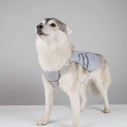 Camicia da donna con protezione UV - Polyester - Taglia M - Protezione per cani