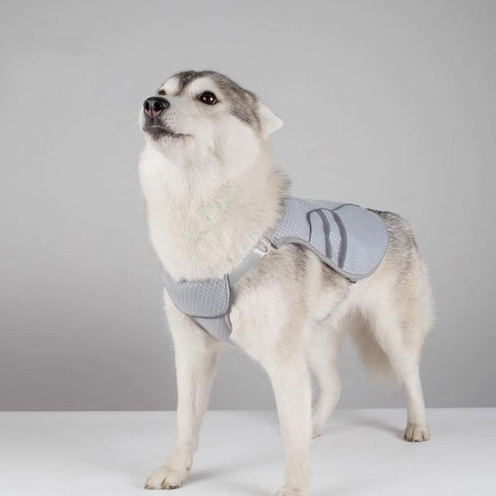 Camicia da donna con protezione UV - Polyester - Taglia M - Protezione per cani