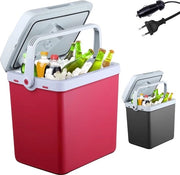 Raffreddatore Elettrico 12V e 230V - Raffreddatore Elettrico - Box Raffreddante Elettrica