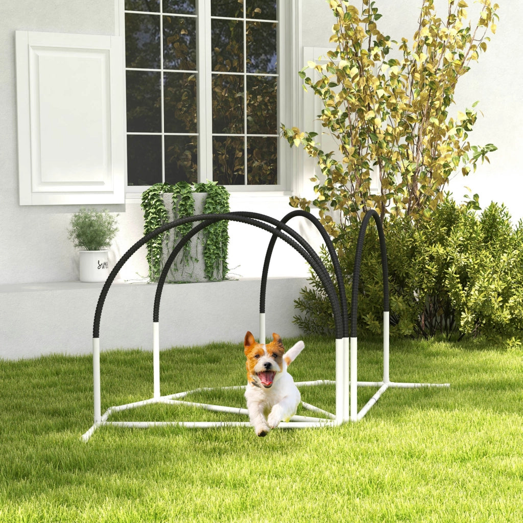 Set Agility per Cani 4 Pezzi ¨C Xylo ¨C con Picchetti e Borsa, 89x69x99 cm, Bianco e Nero