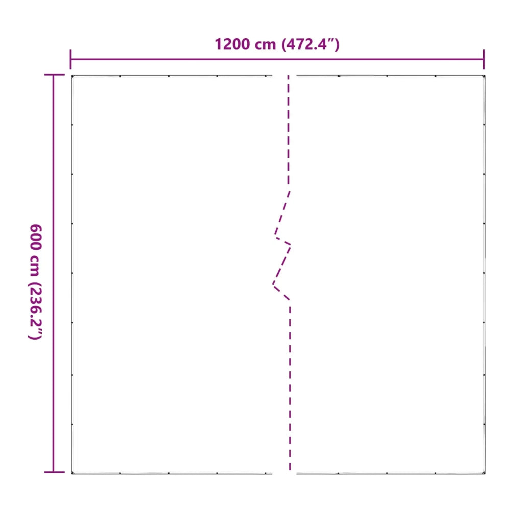 Copertura per Piante Trasparente 6 x 12 m PVC 3429365