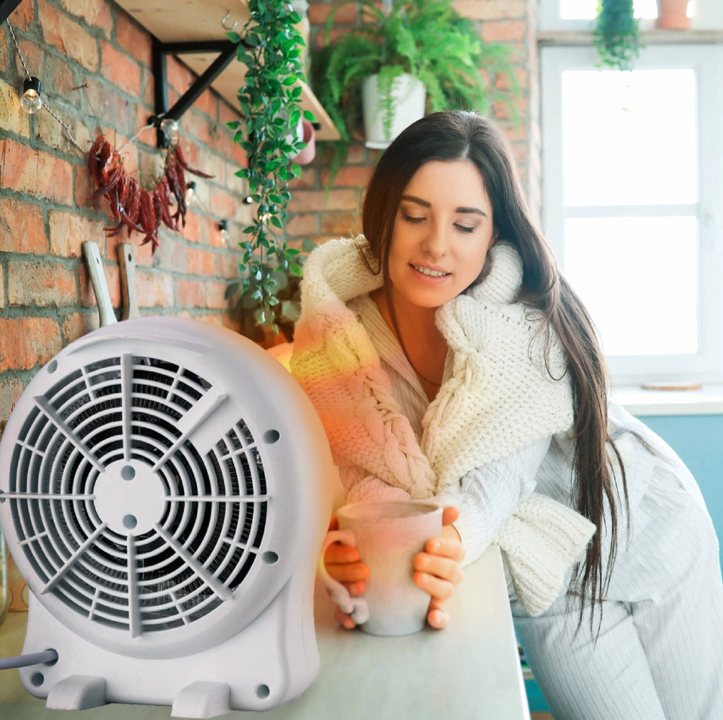 Termoventilatore elettrico 2000W con termostato regolabile, 2 livelli potenza e funzione ventilazione per riscaldamento rapido - Sogo