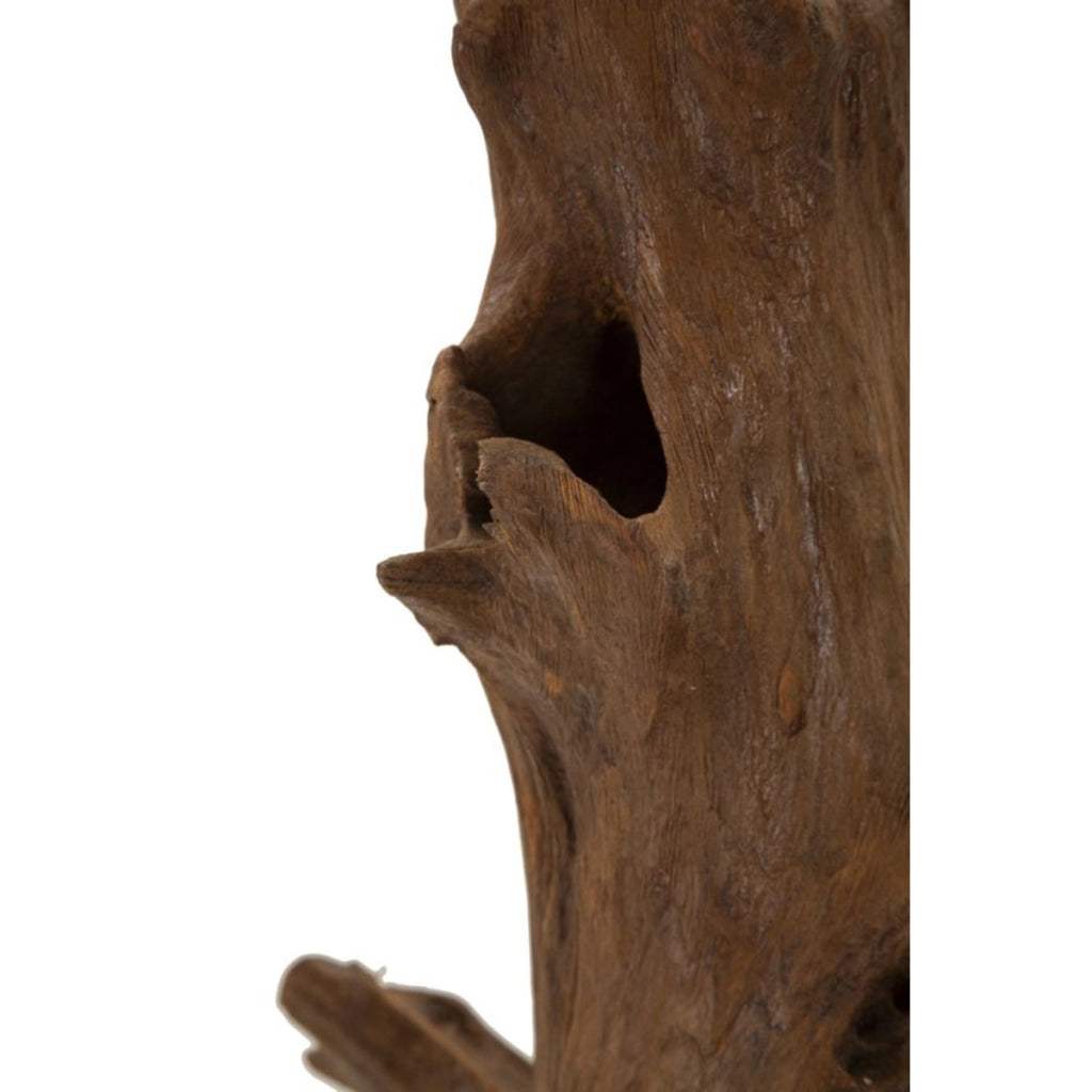 Scultura Radice 2, Marrone, Legno, 23x27x64 cm