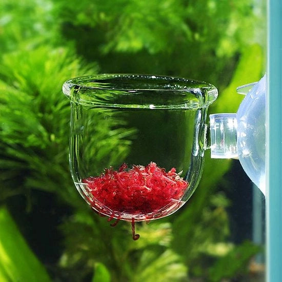 Alimentatore per acquario - Adatto per piccoli pesci tropicali - Materiale di alta qualità - Duraturo - Con vite - Migliora il piacere di nutrire - Alimentatore per acquario