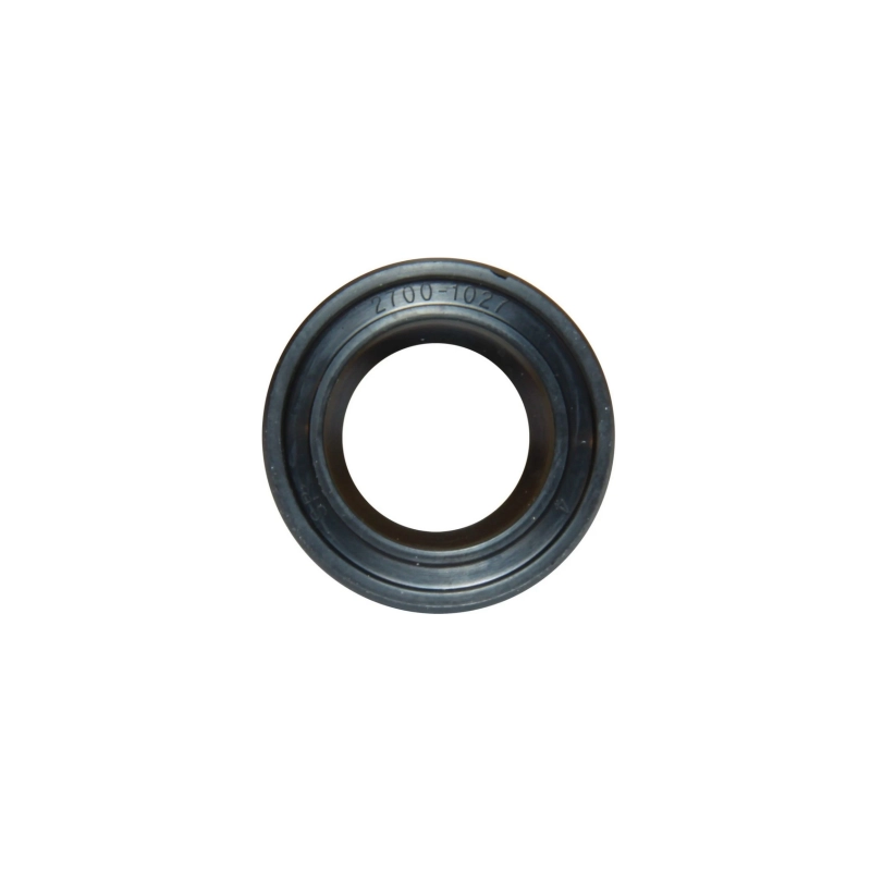 TENUTA SP 2700-1027B WATER PUMP GASKET