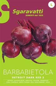 SEMI PER ORTAGGI E VEGETALI barbabietola detroit 10 pezzi  - SGARAVATTI