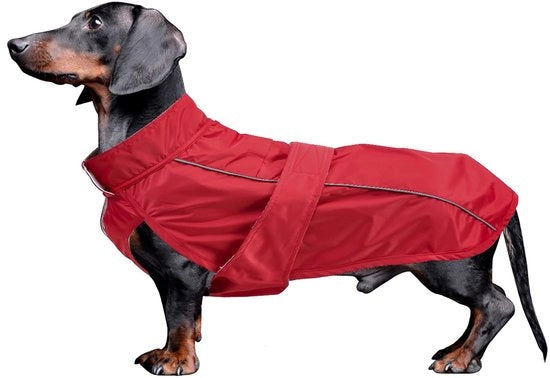 Abbigliamento impermeabile per cani con riflessi, rosso, grande