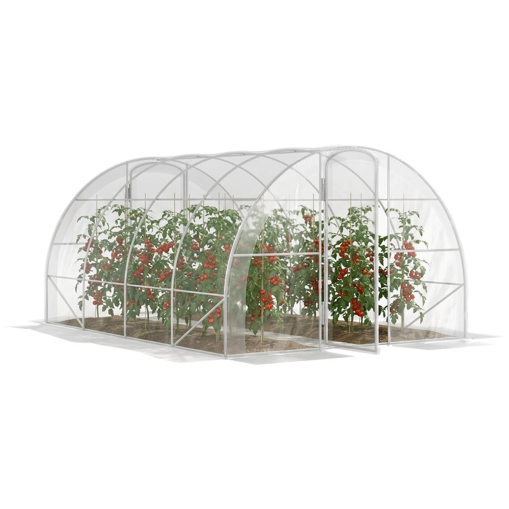 Serra Tunnel Giardino ¨C Minimal ¨C 4x3x2m Trasparente