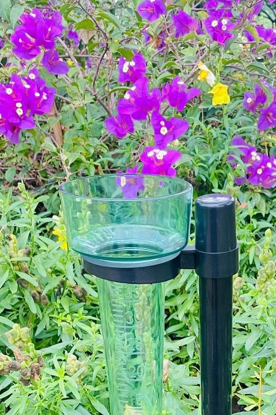 Misuratore di Pioggia per Giardino Contenitore Plastico Porta Luce Verde Esterno Raccolta Pioggia
