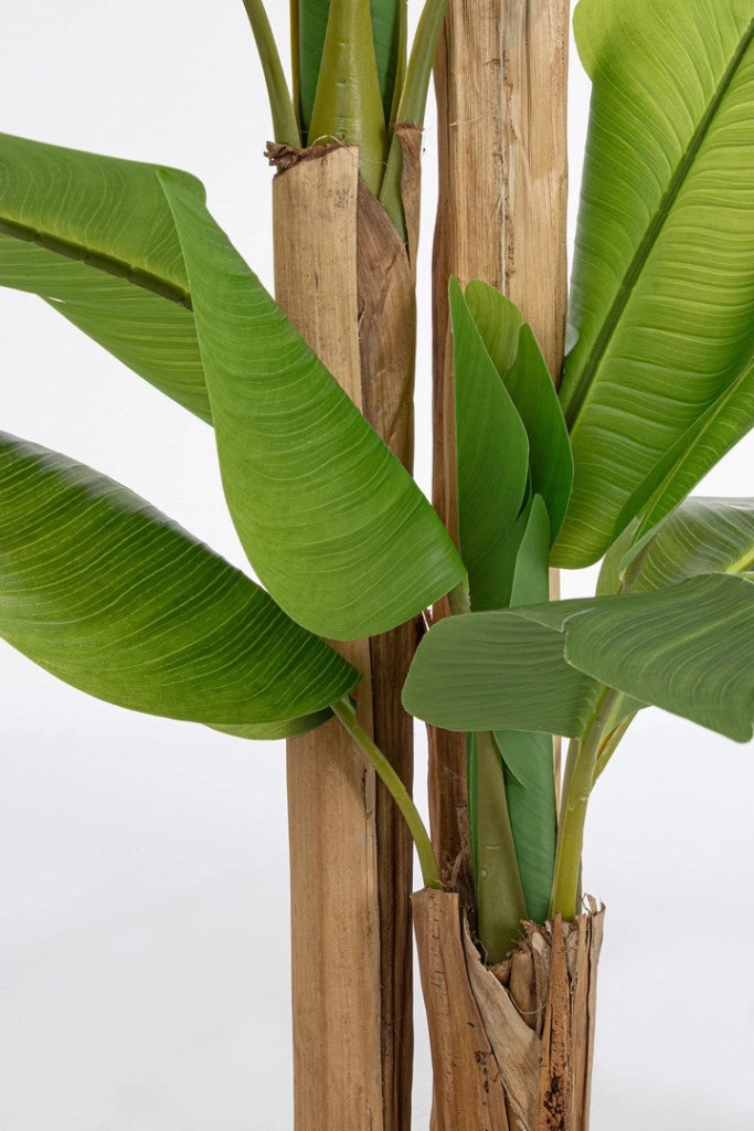 Pianta Artificiale di Banano 170x160x280 cm in Plastica con Vaso Verde