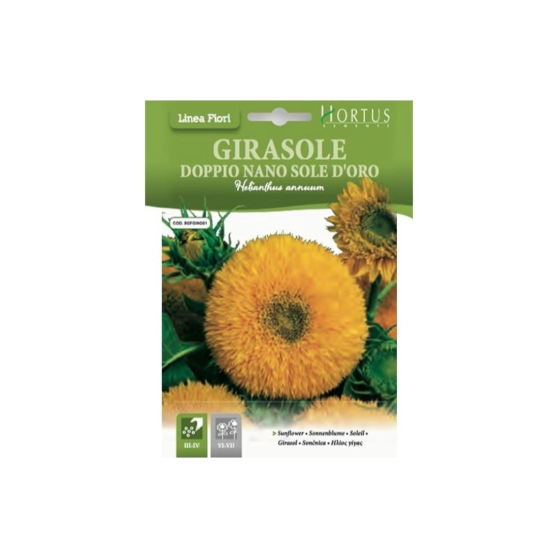 Girasole Nano Sole d'Oro DB