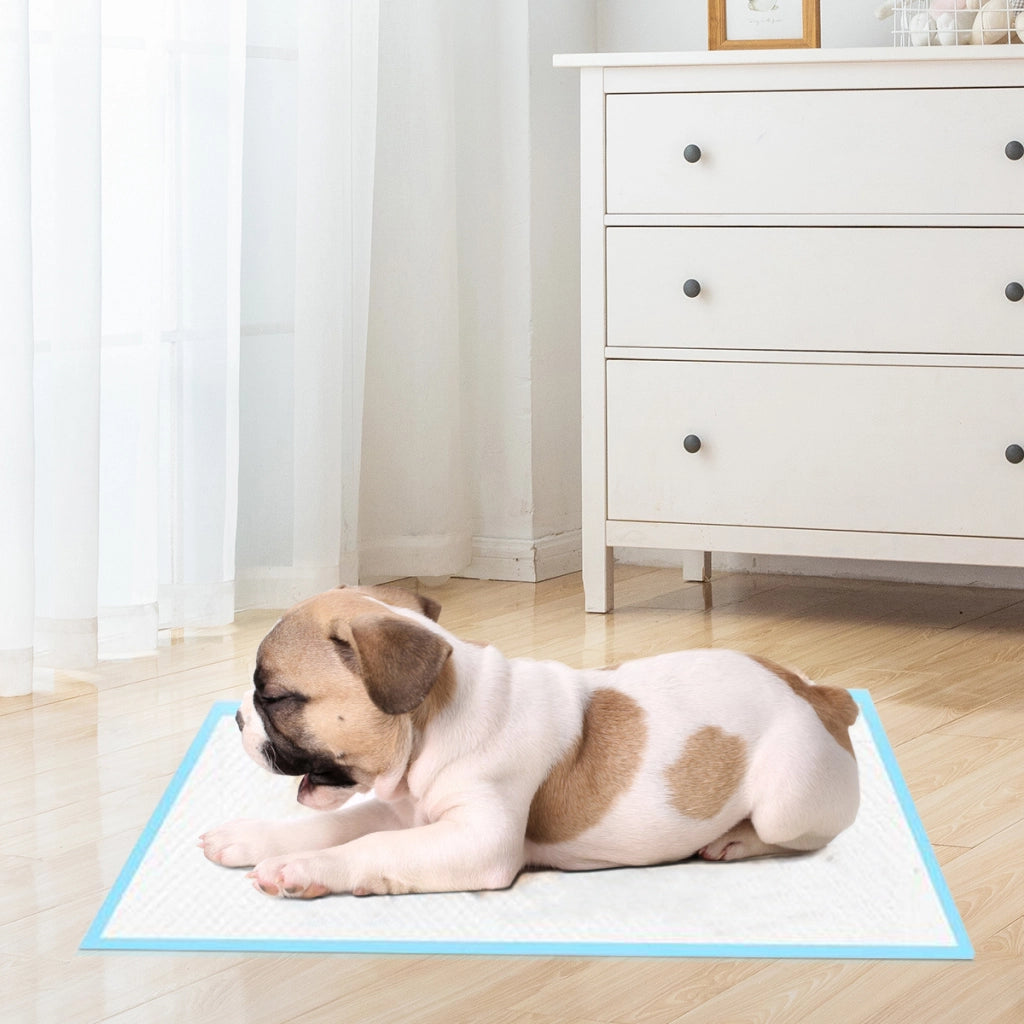 Traverse usa e getta con controllo odore, Traverse per cani gatti conigli con asciugatura rapida 60 x 60 cm