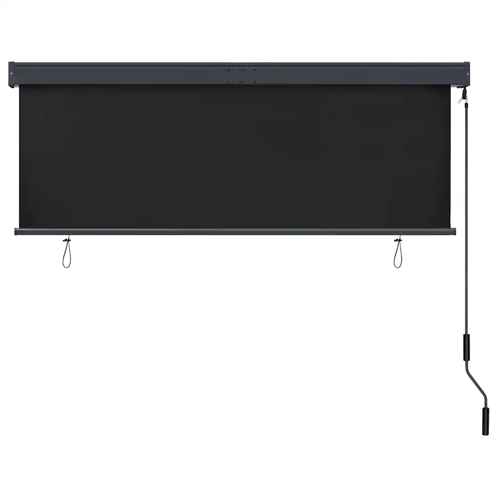 Tenda a Rullo per Esterni 160x250 cm Antracite 145976
