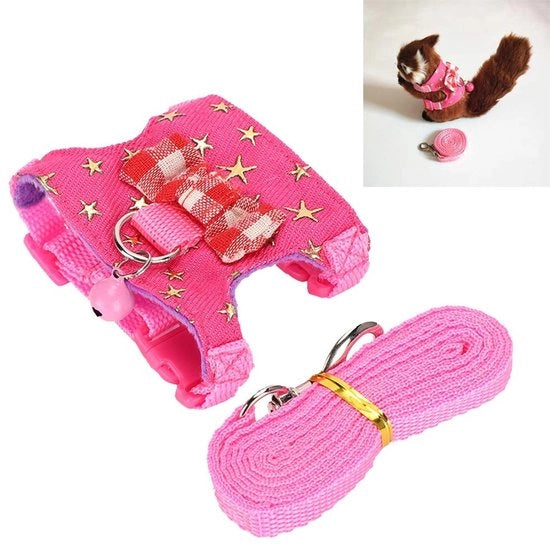 Set di Cintura e Cinghia Adattabile per Piccoli Animali di Compagnia - Denim - Taglia M - Comodo e Sicuro - Attrezzo per Cani