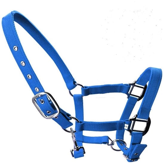 Cintura di Sella Adattabile - Disegno di Cavallo - Piumato - Nylon - Duraturo - Per Puledro/ Pony/Asino - Guinzaglio