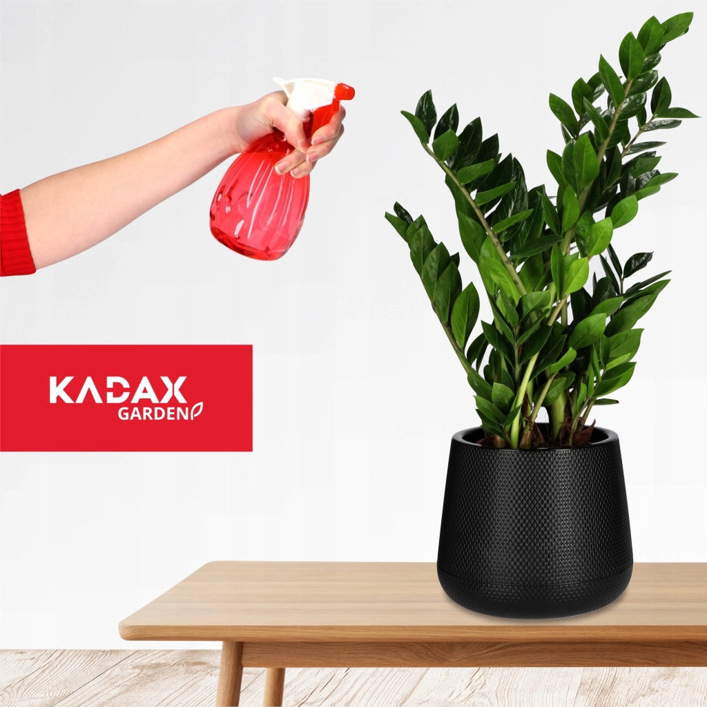 Spruzzatore KADAX per piante e fiori, 550 ml, manuale e regolabile.