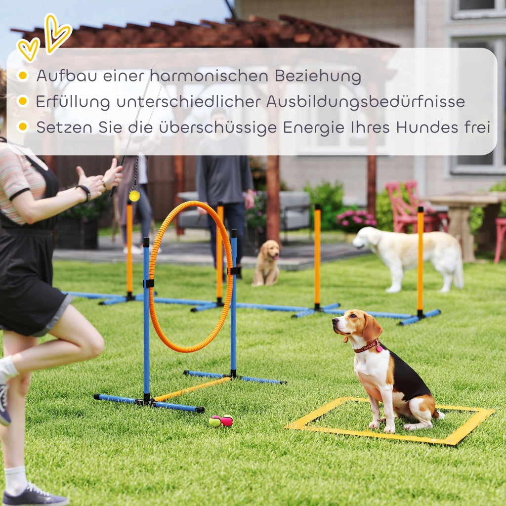 Set Agility per Cani 7 Pezzi ¨C Xylo ¨C Ostacoli Training Addestramento