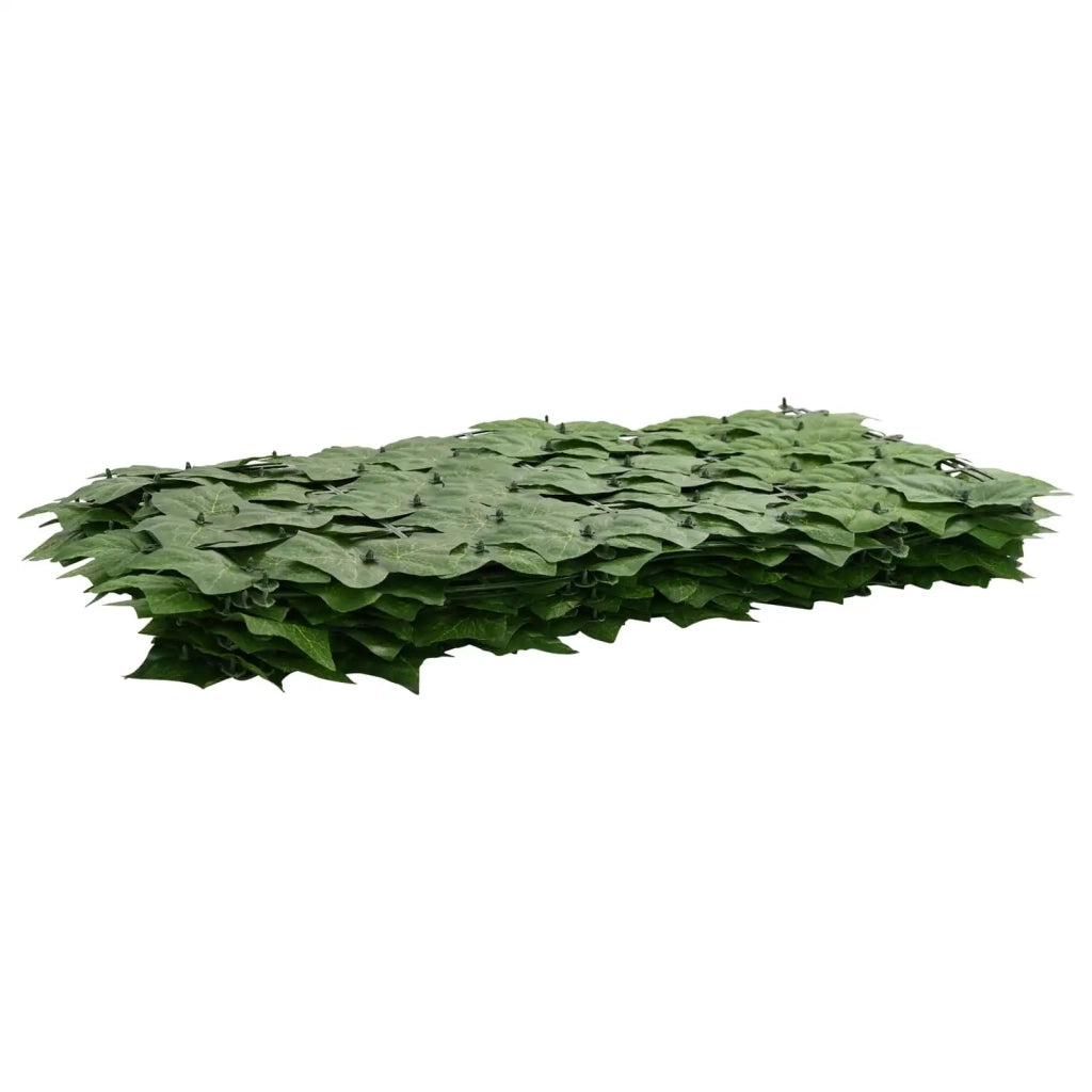 Paravento da Balcone | Schermo per balcone con foglie Verde 600 x 100 cm