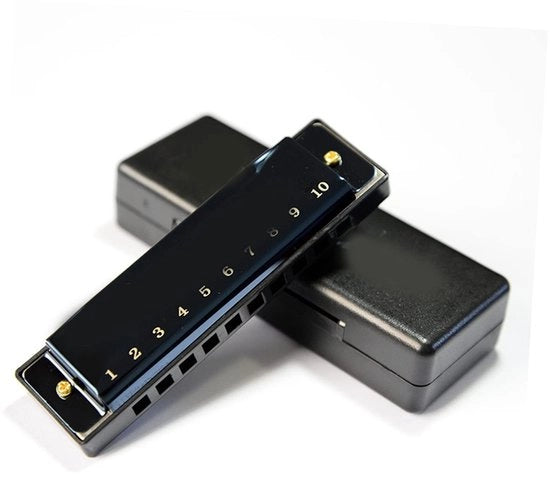 Harmonica 10 Orecchie - Zinklegering - Nero Lucido - Adatto per Principianti - Ideale per Feste - Utilizzo Multiplo - Harmonica