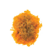SC GOMMALACCA  40 G- 5,0 pz