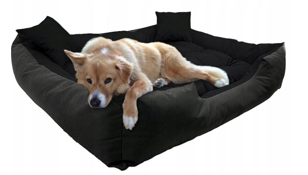 AIO FACTORY 55x45 cm ECCO Cuccia per cani impermeabile nera con cuscino per cani