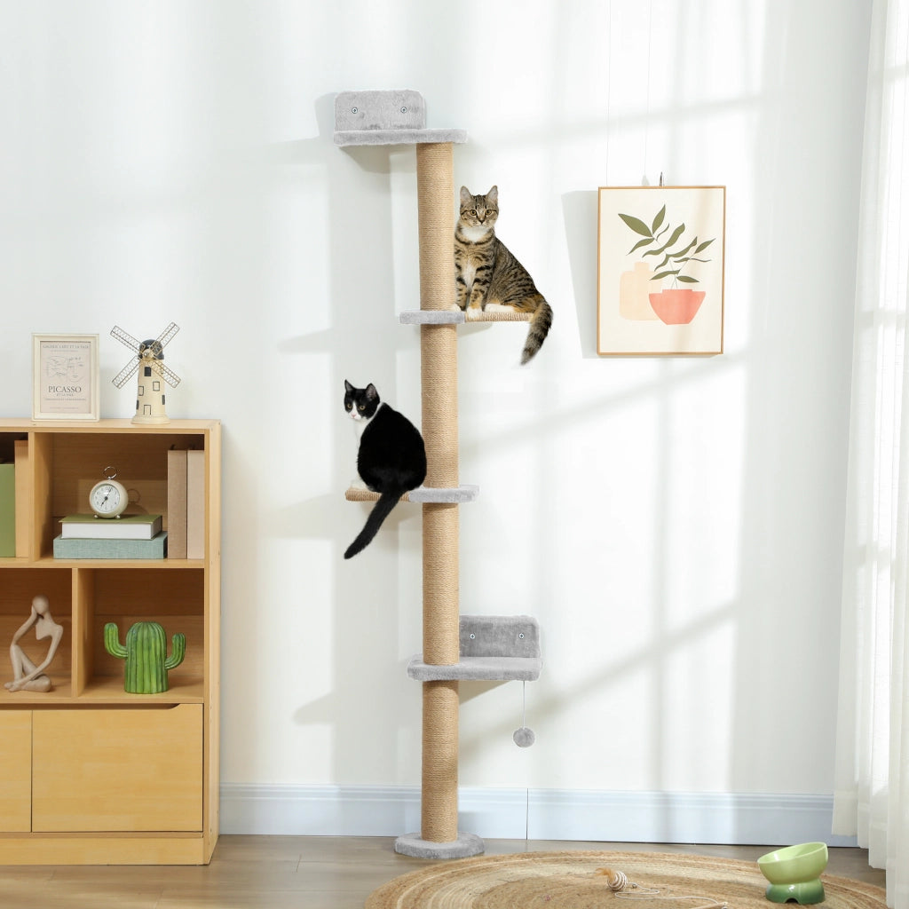 Libreria per Gatti ¨C Minimal ¨C Grigio 180x24x100