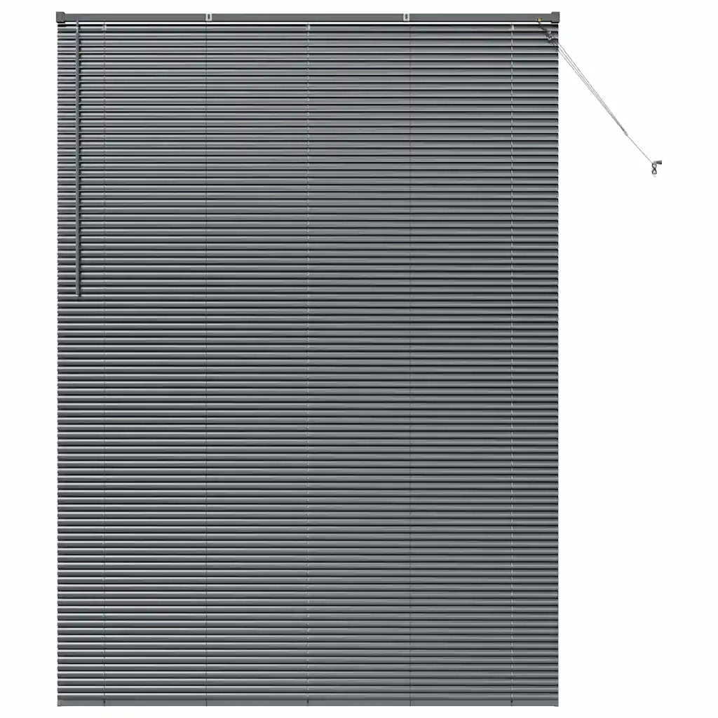 Tendaggi a veneziana Grigio scuro 220 x 155 cm Alluminio 42006108
