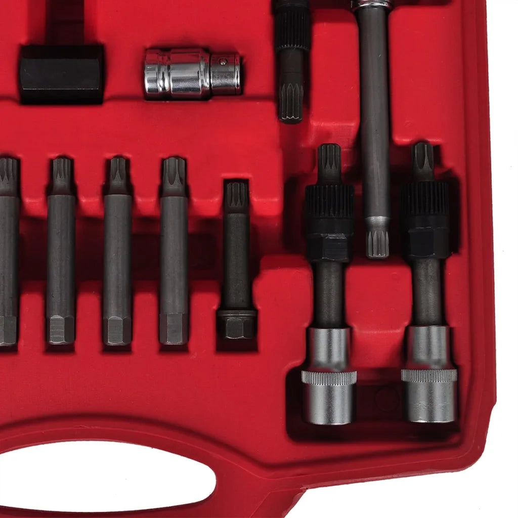 Set per Rimozione Ruota Libera Alternatore 22 pz 210120