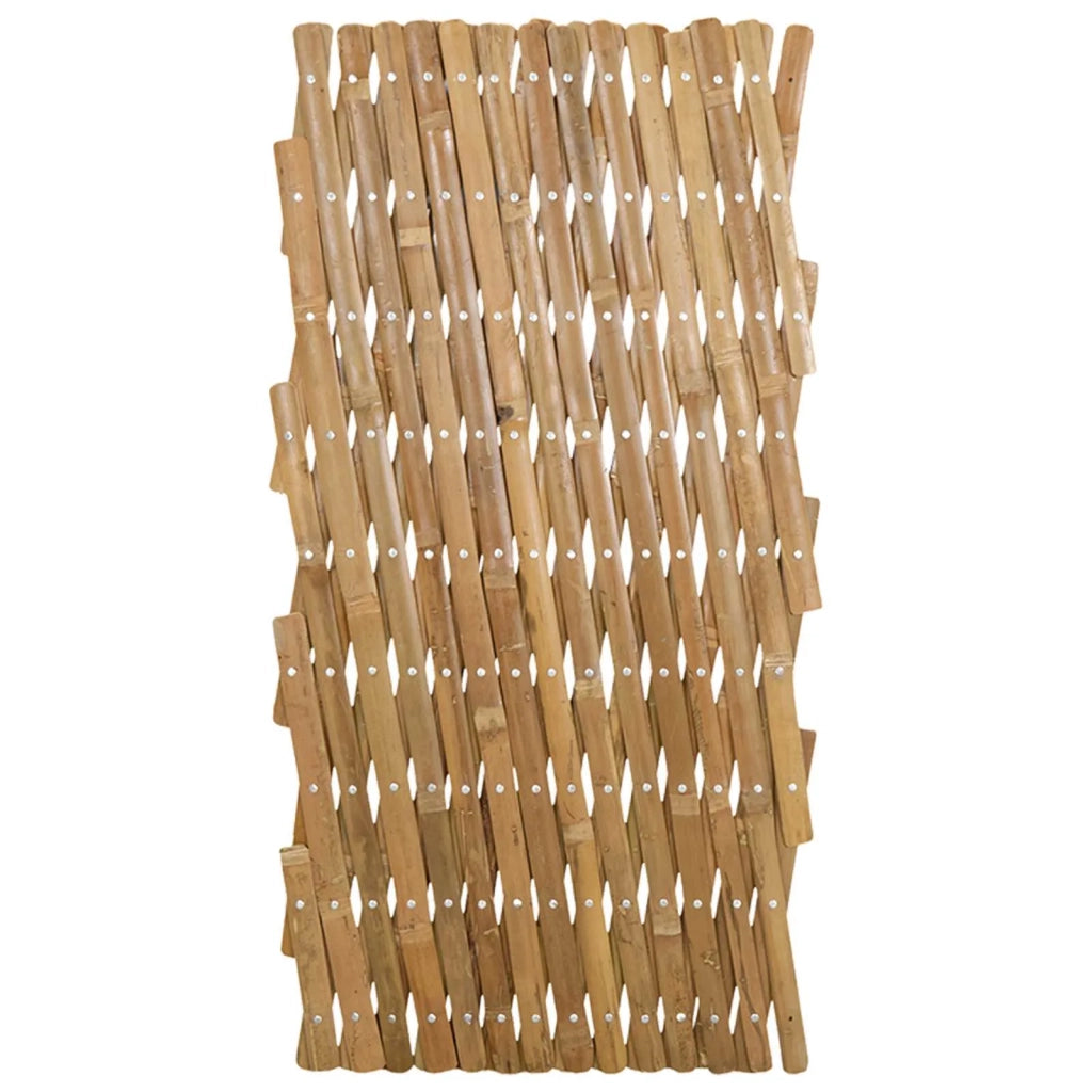 Recinto Trellis Espandibile 2 pcs Marrone Chiaro 100 x 105 cm 42028067