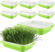 Set di 8 contenitori per la germinazione per giardinaggio e idroponia