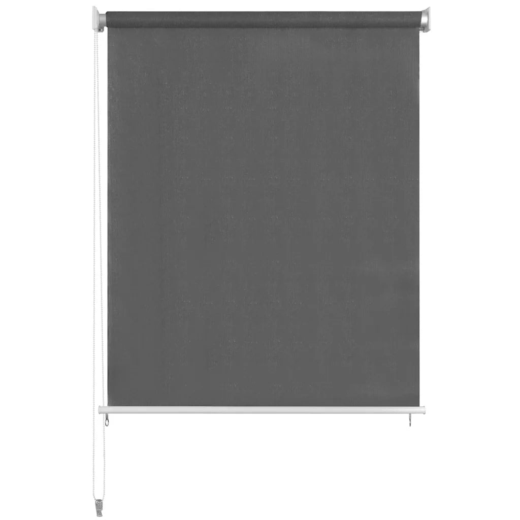 Tenda a Rullo per Esterni 165(L)x230(A) cm Antracite 43496