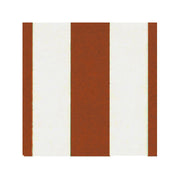 Tenda Sole Poliestere Plus Riga Marrone 145X350 Rp