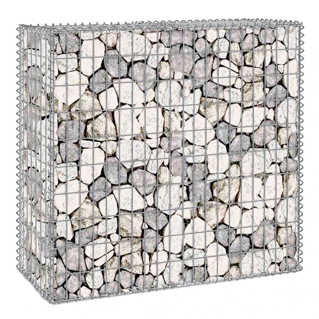 IDMarket - Set di 2 gabbioni in pietra 100 x 30 x 80 cm