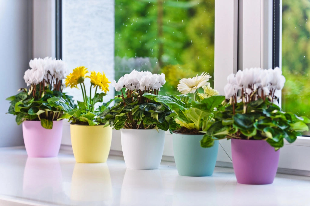 Copertura per vaso da fiori KADAX con supporto, rosa, per soggiorno, 20 cm