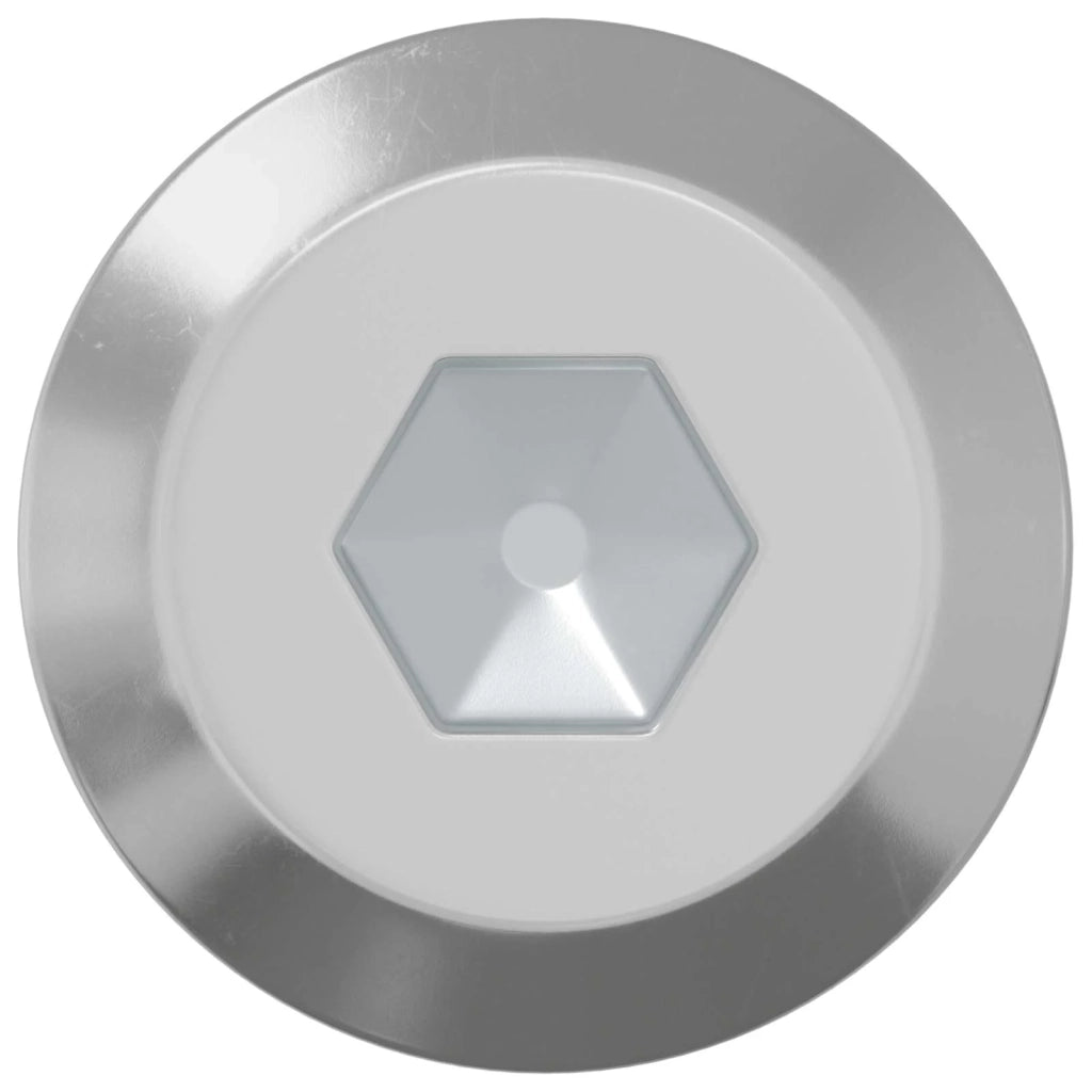 Vite 1000 pcs Argento M6 x 100 mm Acciaio