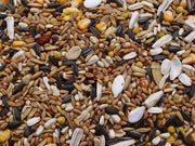 Nutrimento per uccelli selvatici - 5 kg