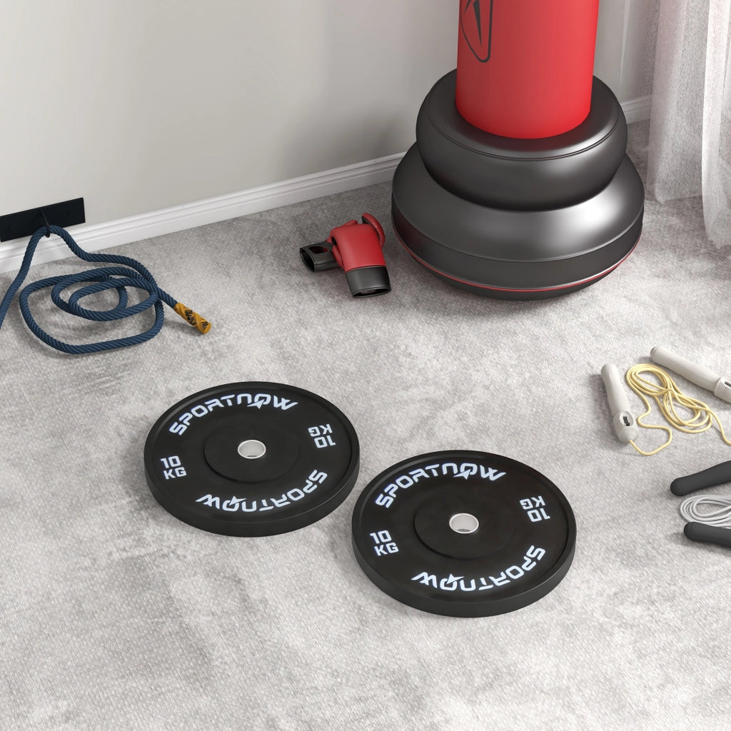 Dischi da 10kg per Bilanciere ¨C zephmum ¨C Set di 2, Nero, ?5cm