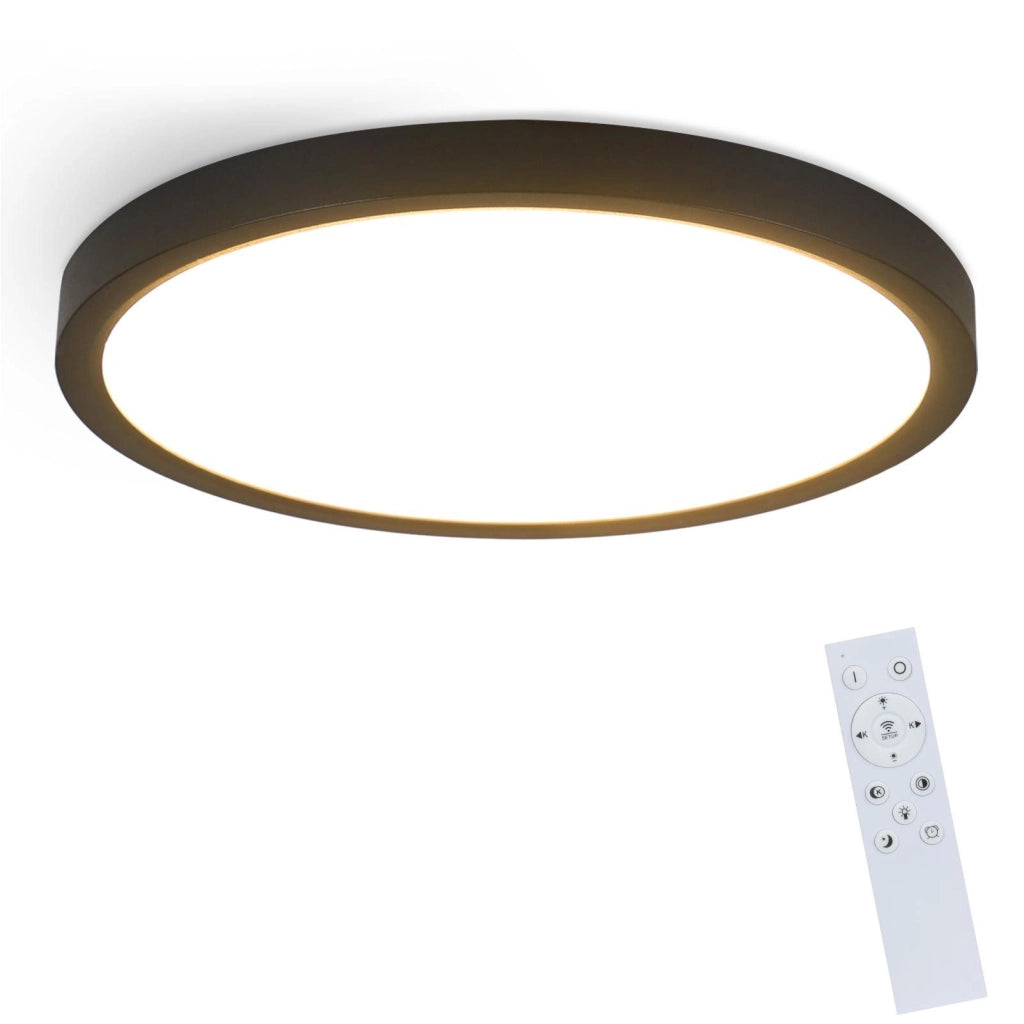 ZMH Lampada da soffitto LED IP44 telecomando design per cucina corridoio