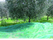 Confine RETE PER OLIVE ANTISPINE   mt. 5x10
